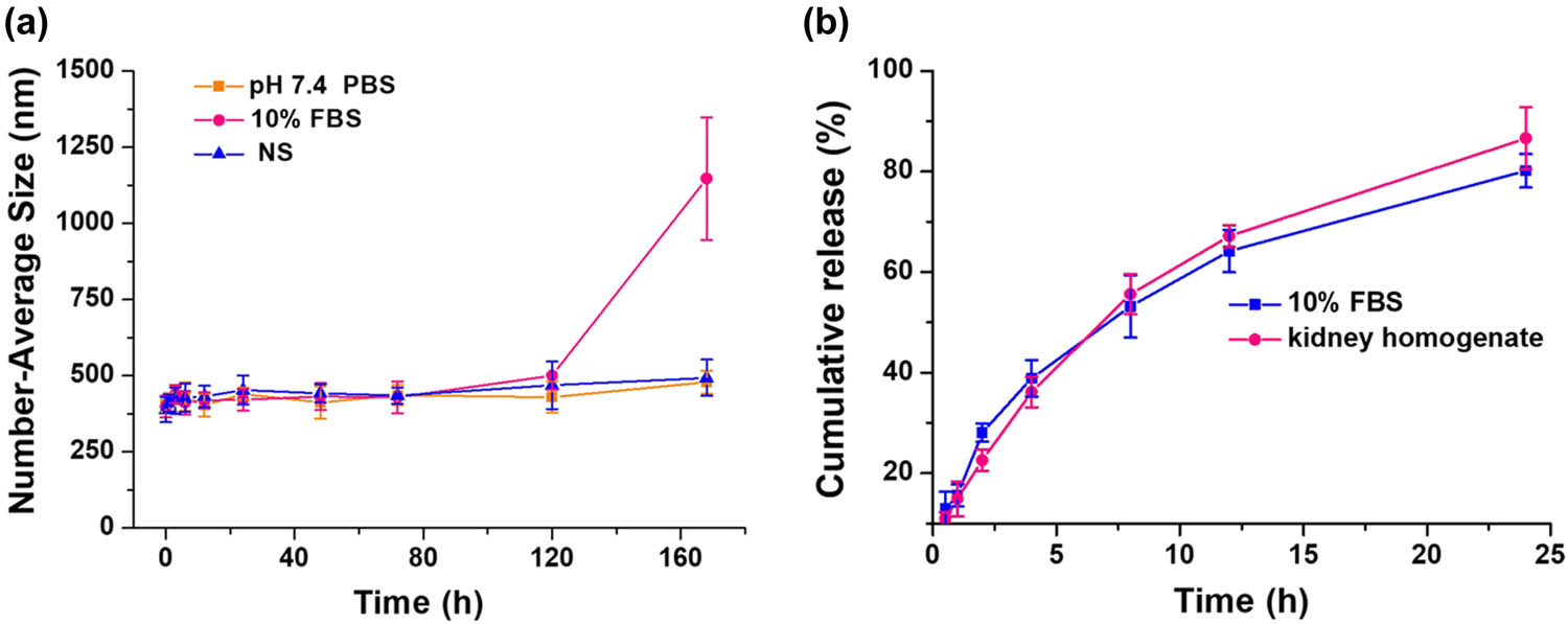 Figure 5 Stability and in vitro release assays of Em-MNPs in different media. The stability of Em-MNPs (a) measured by HD in PBS (pH 7.4), 10% FBS, and saline (NS) at 37°C. In vitro release assay of Em released from Em-MNPs (b) in 10% FBS and kidney homogenate at 37°C.