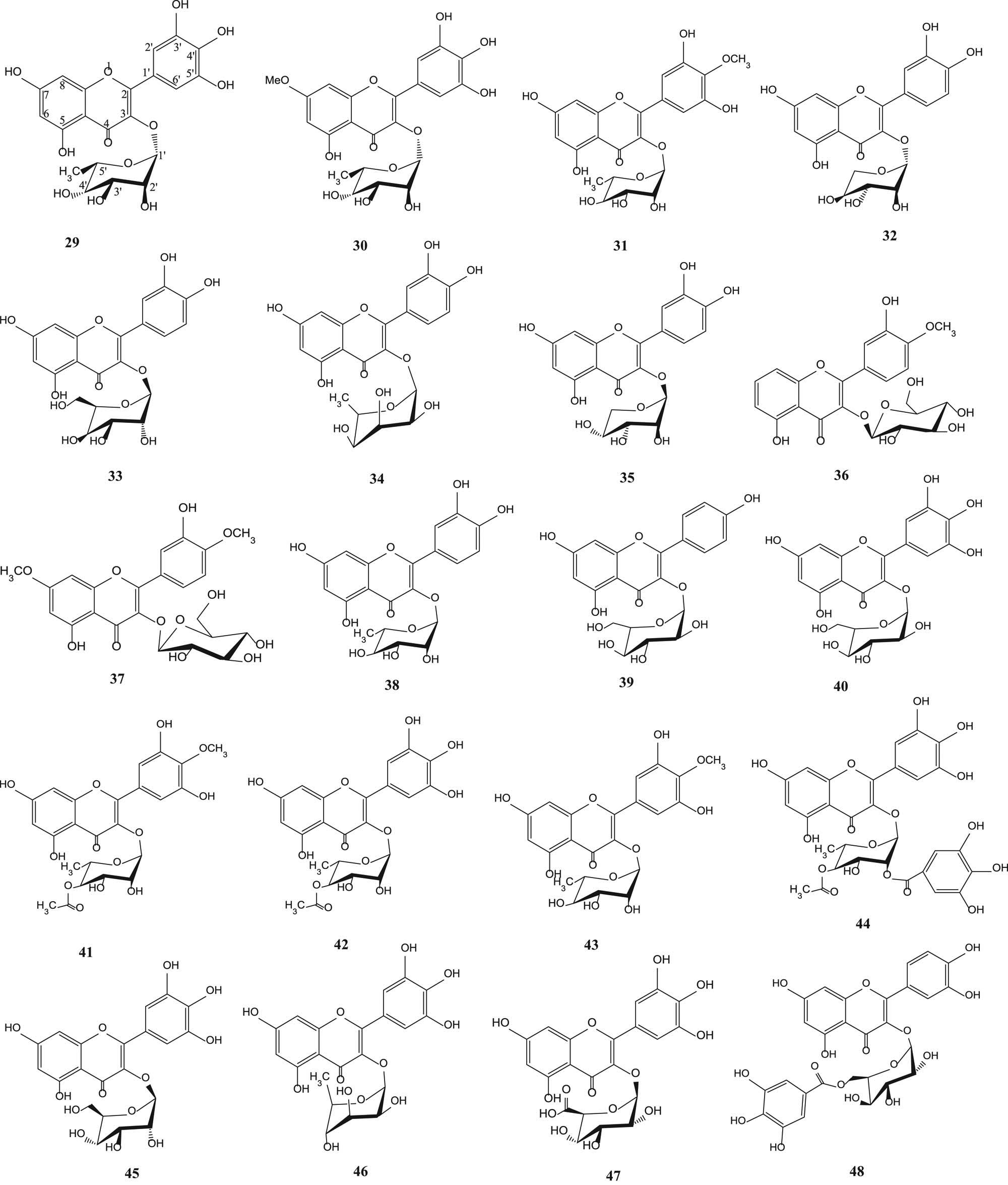 Figure 2 Flavonoid glycosides from various parts of S. aqueum, S. samarangense, S. aromaticum, S. cumini and S. guineense.