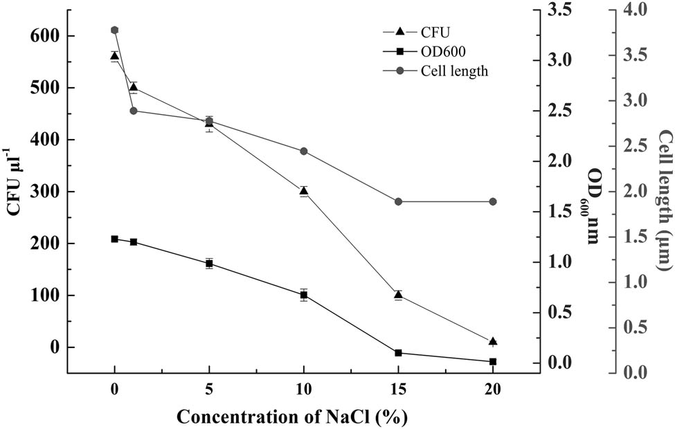 Figure 1
Growth condition of the bacterial strain SX4 under NaCl stress.