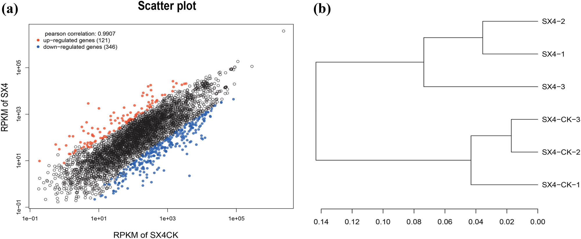 Figure 3
Scatter plot (a) and hierarchical cluster analysis (b).