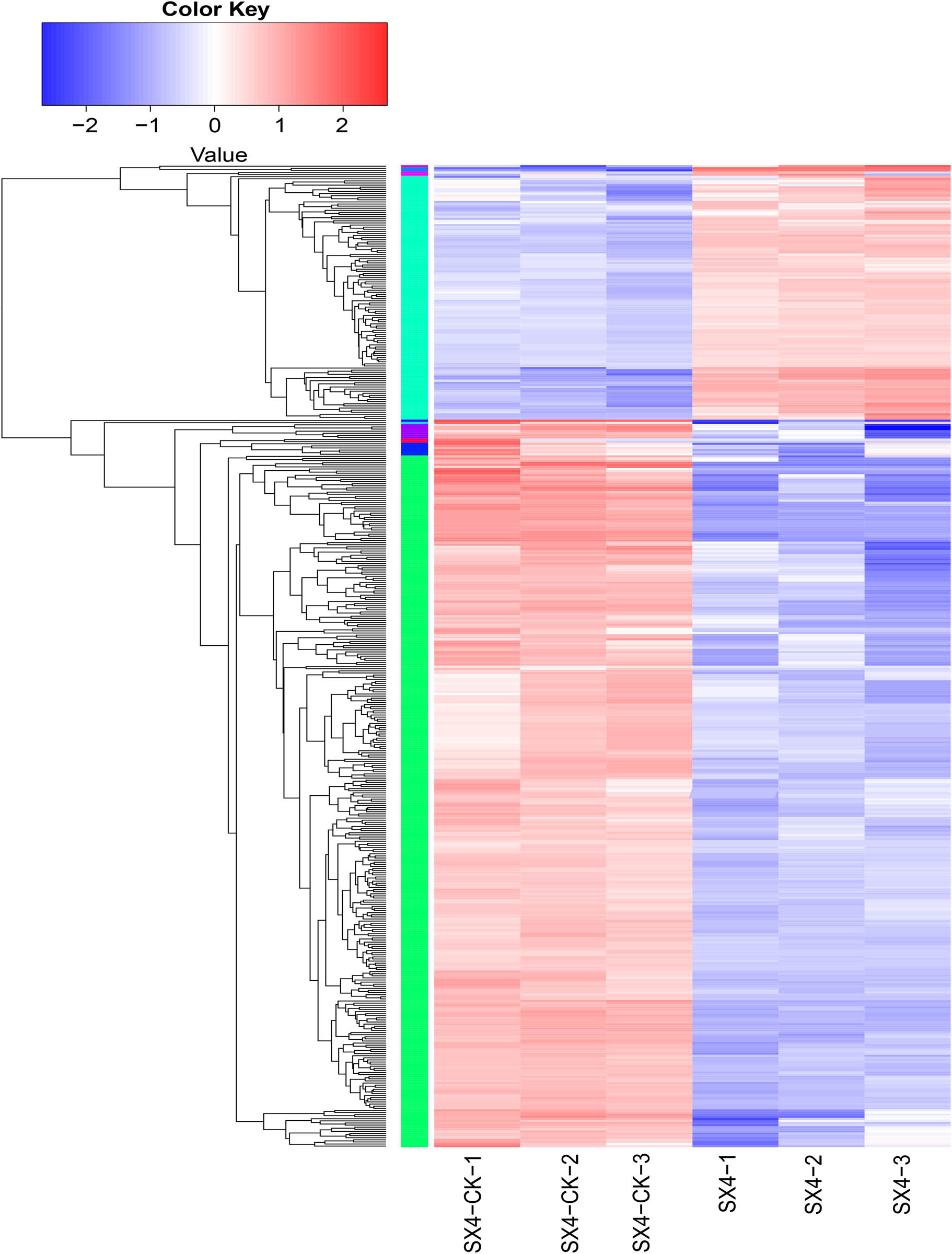 Figure 7
Clustering heatmap analysis of differentially expressed genes.