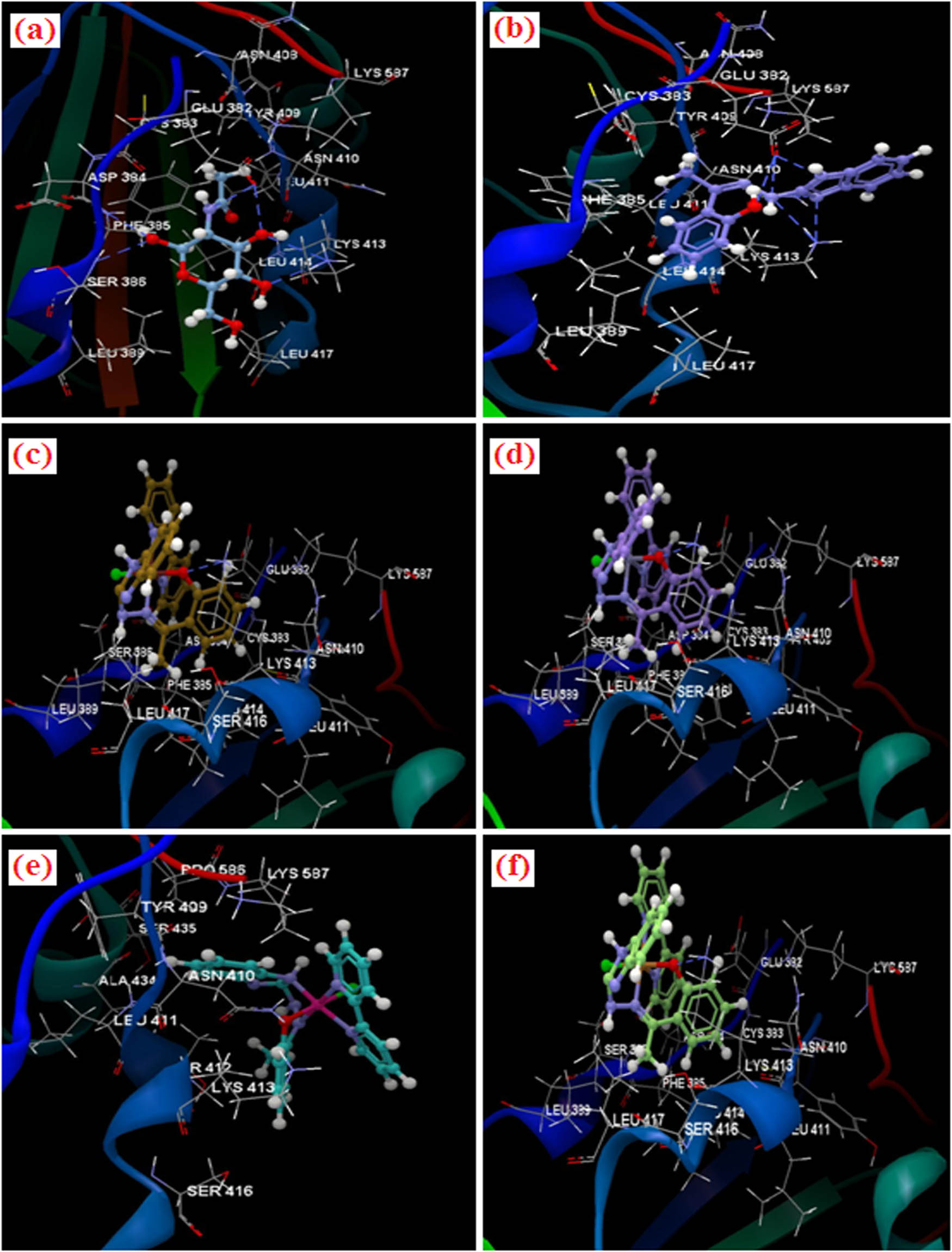 Figure 3 Docking pose of the compounds interacting with the residues of amino acid of binding site of 4Z6S; (a) co-crystallized NAG, (b) Schiff base ligand, (c) Ni(ii) complex, (d) Zn(ii) complex, (e) Co(ii) complex and (f) Cu(ii) complex.
