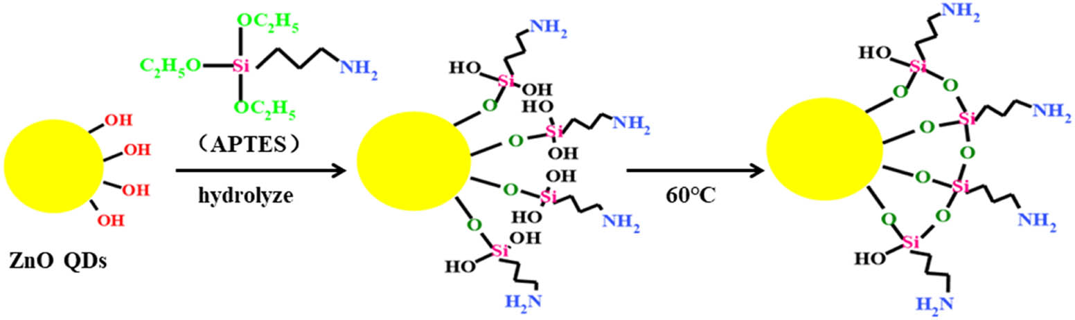 Figure 6
Sketch of the silanization method.