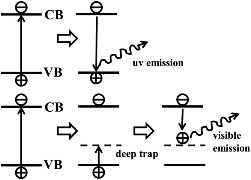 Figure 9
Schematic diagram of luminescence mechanism of QDs.