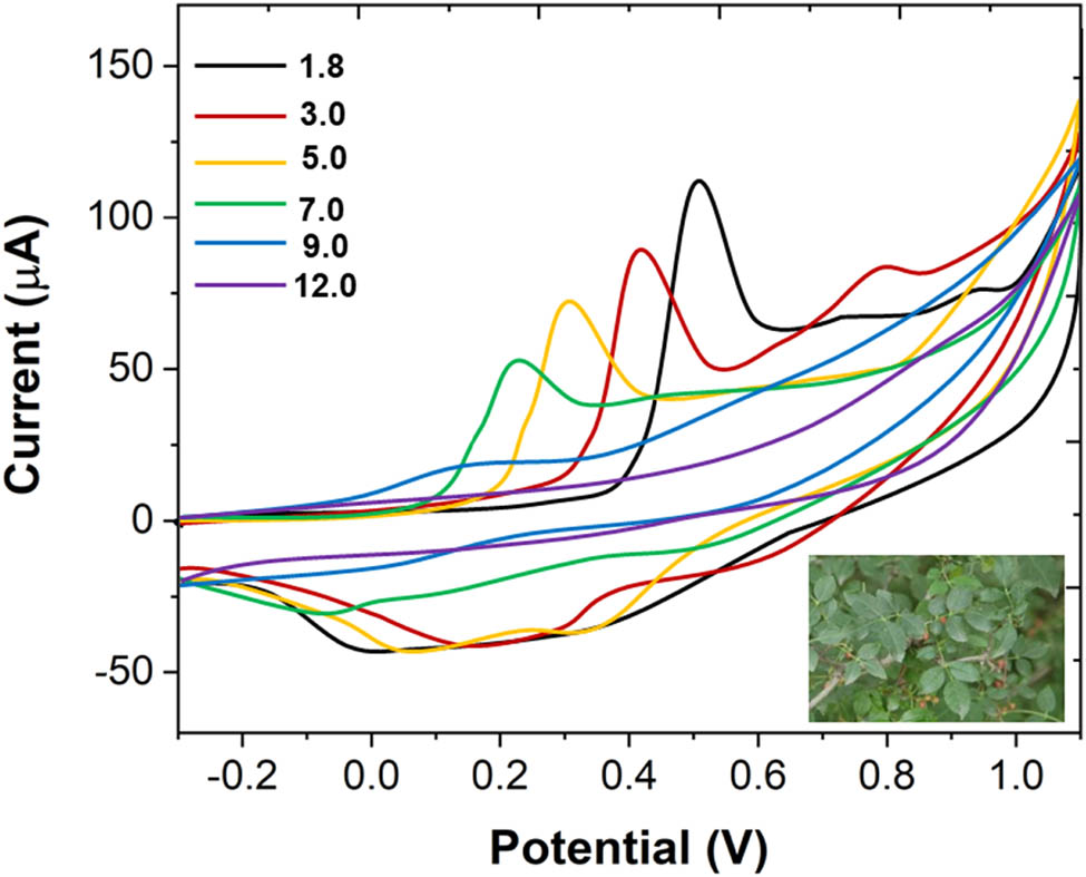 Figure 1
CV curves of quercetin in different pH values of B–R buffer solutions (0.1 M). Scan rate: 50 mV/s.