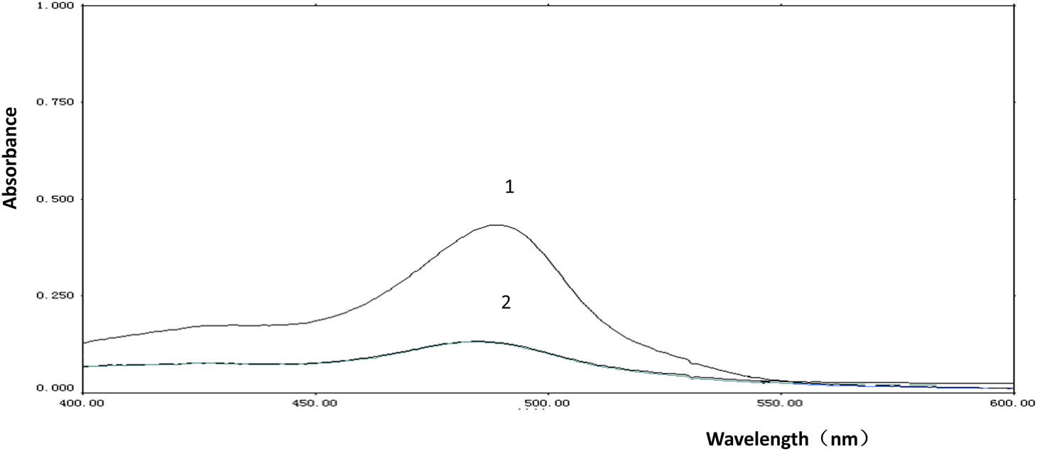 Figure 1 
                  UV absorption curve of B. rynchopetera extract and glucose standard solution. (1) Glucose standard solution, (2) sample solution of B. rynchopetera extract.
               