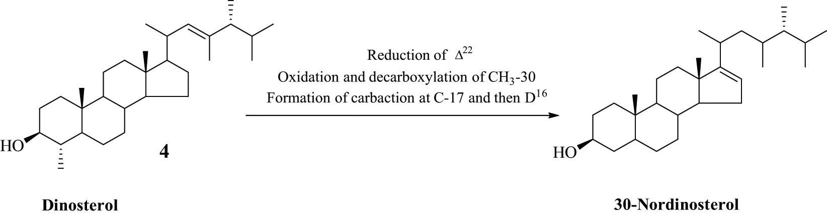 Scheme 1
Proposed biosynthesis of 30-norisodinosterol.
