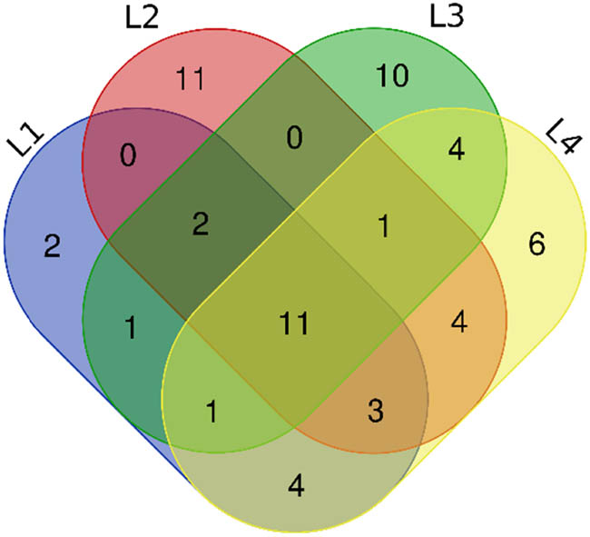 Figure 1
Venn diagrams for comparison of volatile components in four functional liquors.