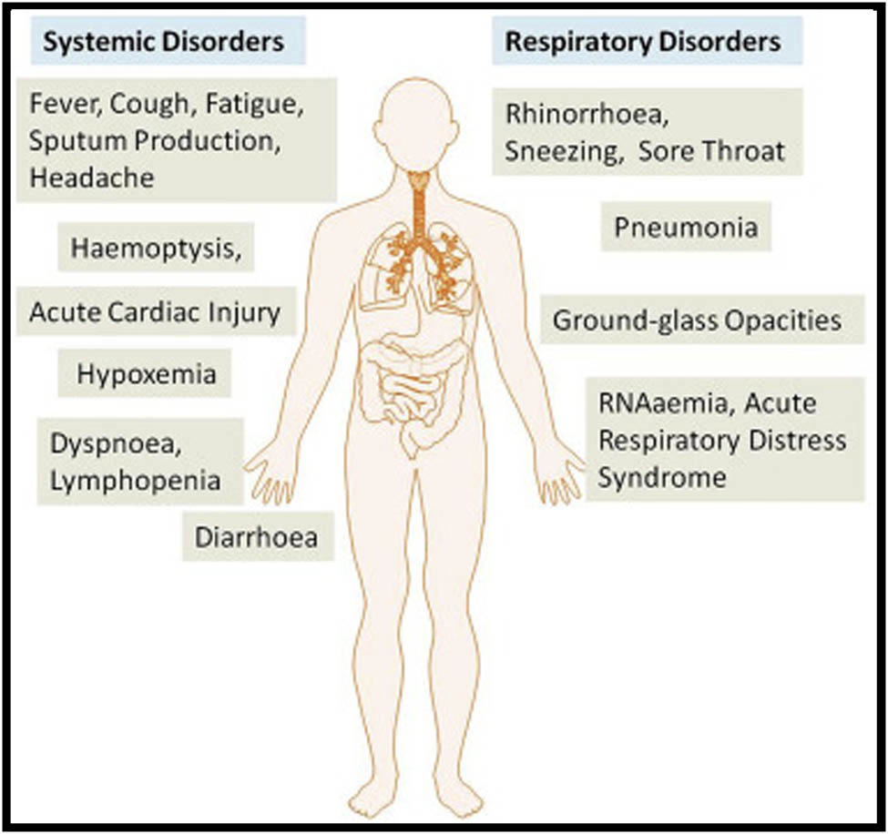 Figure 7 
               The systemic and respiratory disorders caused by COVID-19 infection [53].
            