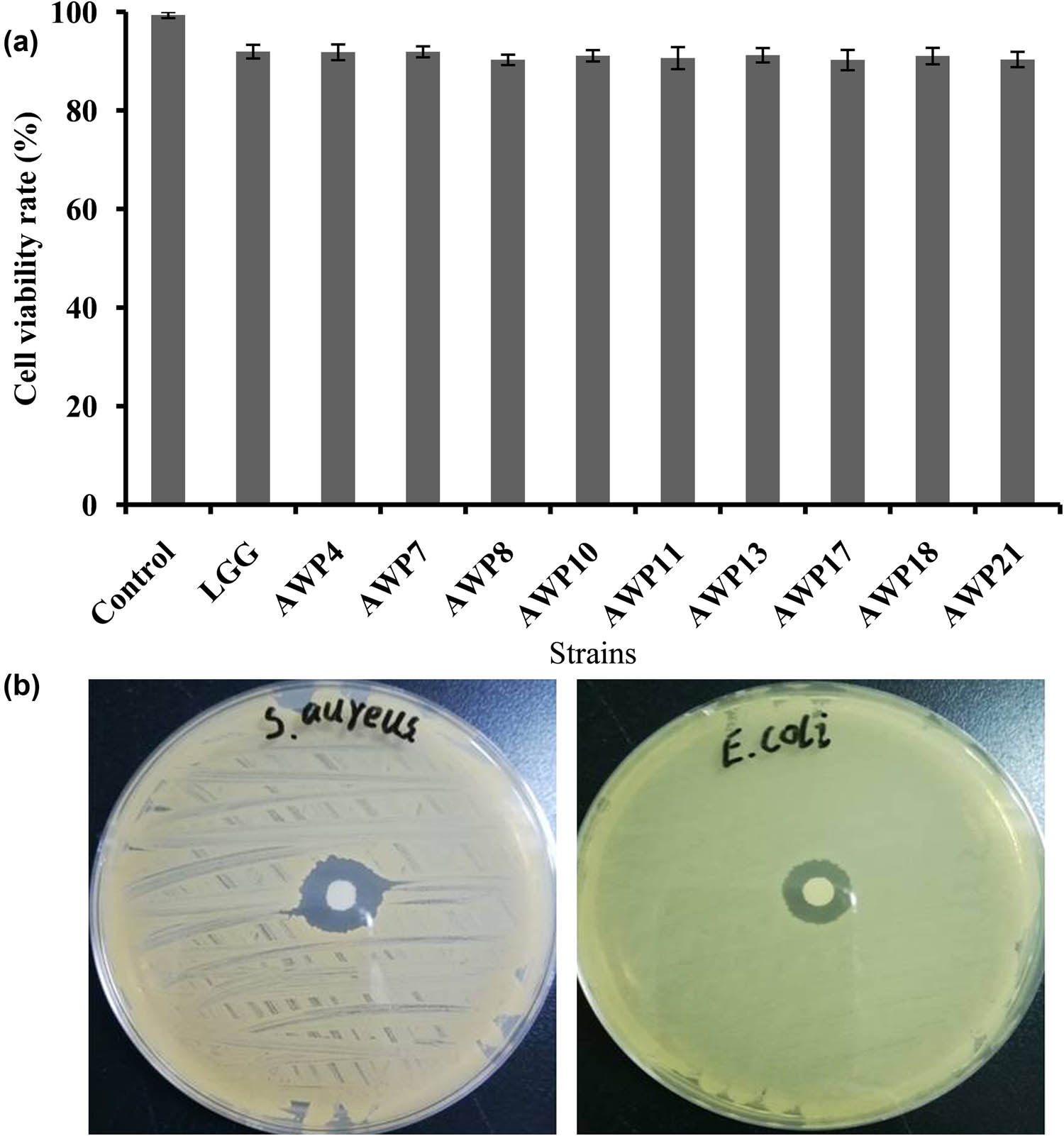 Figure 2
Cell viability of isolated LAB strains (a) and inhibition of indicator strains (b). Error bars represent deviations of mean values (n = 3).