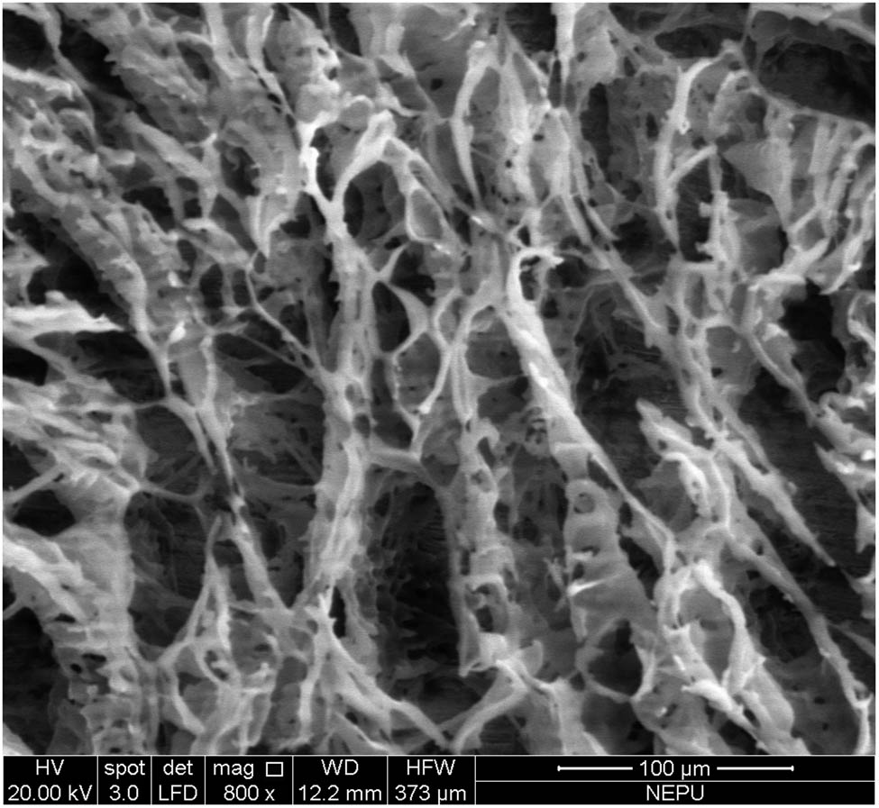 Figure 4
SEM images of the foaming agent after high-temperature treatment at 300°C for 24 h.