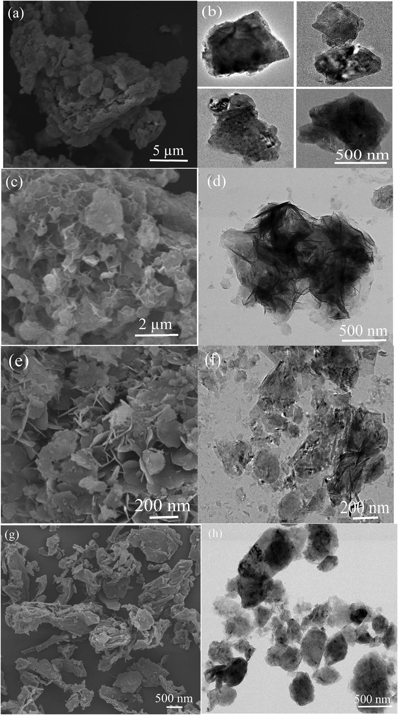 Figure 1 
                  (a, c, e, and g) SEM and (b, d, f, and h) TEM images of (a and b) 50% B/LDHs, (c and d) 10% B/LDHs, (e and f) Mg–Al LDHs, and (g and h) soybean straw.
               
