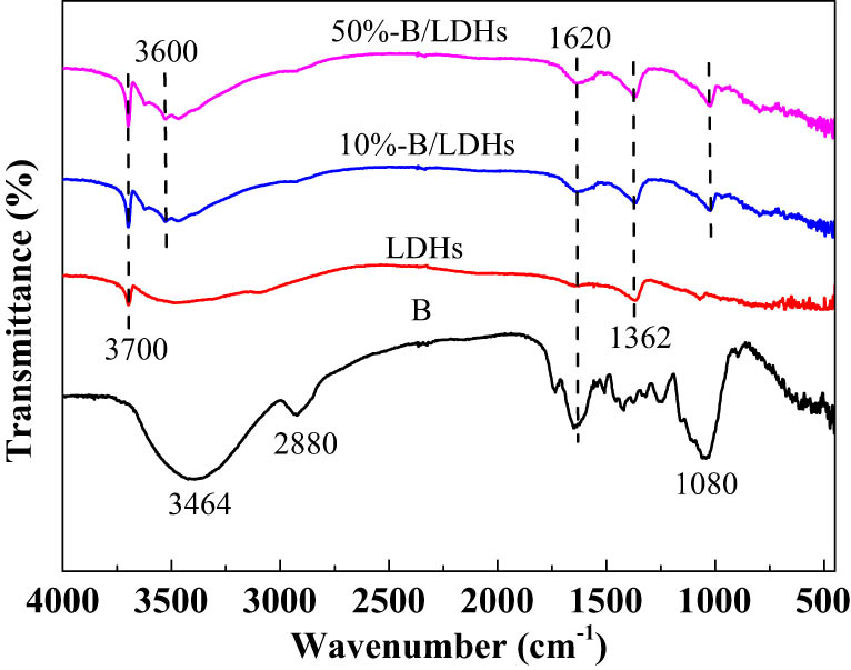 Figure 2 
                  FT-IR spectra of 50% B/LDHs, 10% B/LDHs, Mg–Al LDHs (LDHs), and soybean straw (B).
               