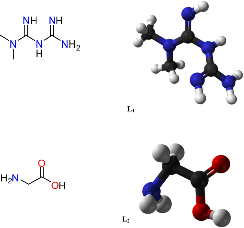 Figure 1
Structures of metformin molecule (L1) and glycine molecule (L2).