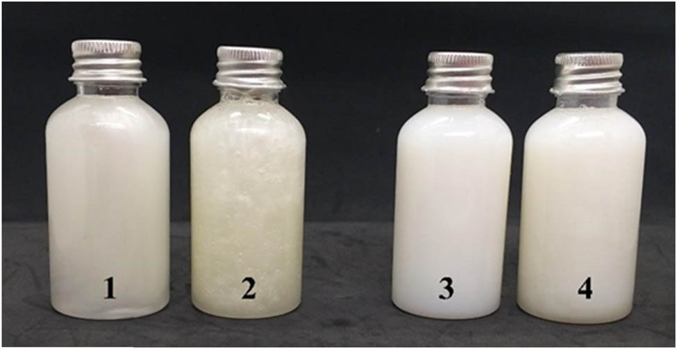 Figure 3
Initial (1) and 1-month body wash product (2); initial (3) and 1-month shampoo product (4).