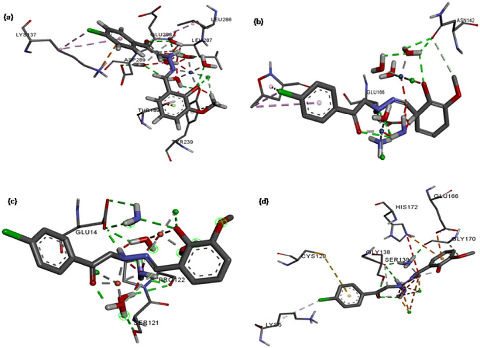 Figure 10
3D interaction diagram showing the docking interactions of (a) Co(ii), (b) Ni(ii), (c) Cu(ii), and (d) Zn(ii) complexes with COVID-19 (6LU7).