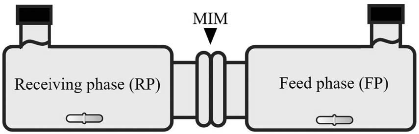 Figure 1
Illustration of the diffusion cell apparatus.