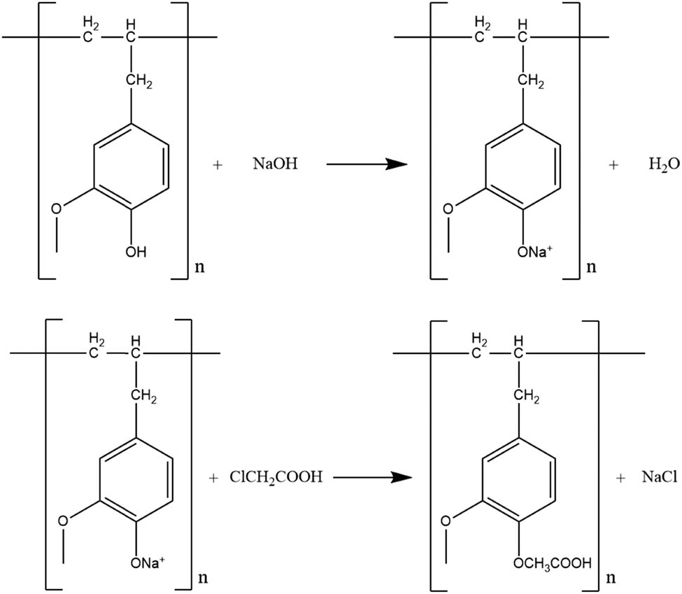 Figure 4
Reaction mechanism of PA synthesis.