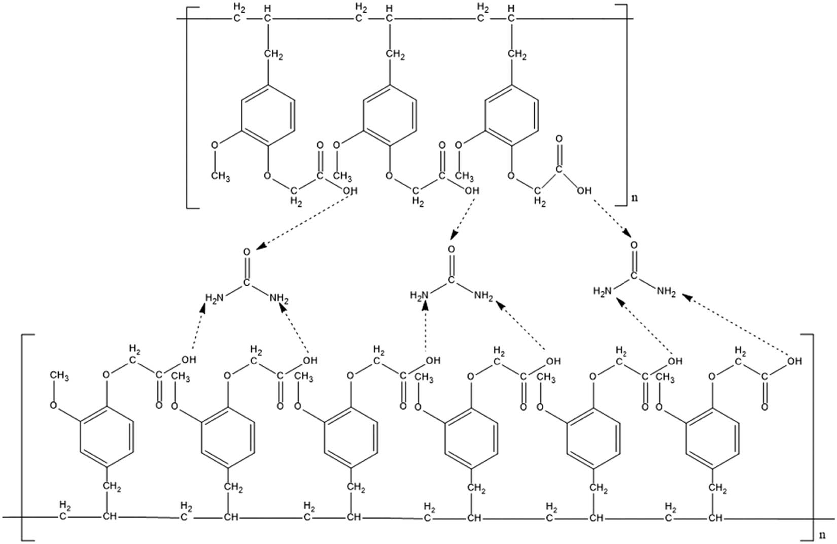 Figure 6
Approximation of bond between polyeugenoxy acetic acid and urea.