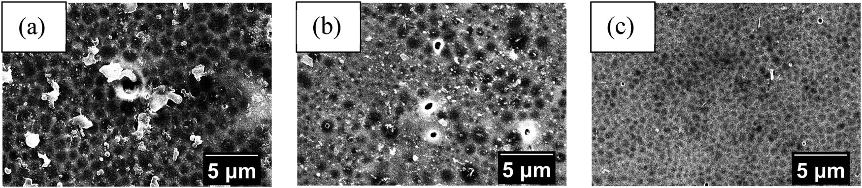 Figure 9
SEM analysis result of (a) NIM-0, (b) NIM-5, and (c) NIM-10 surface morphology.