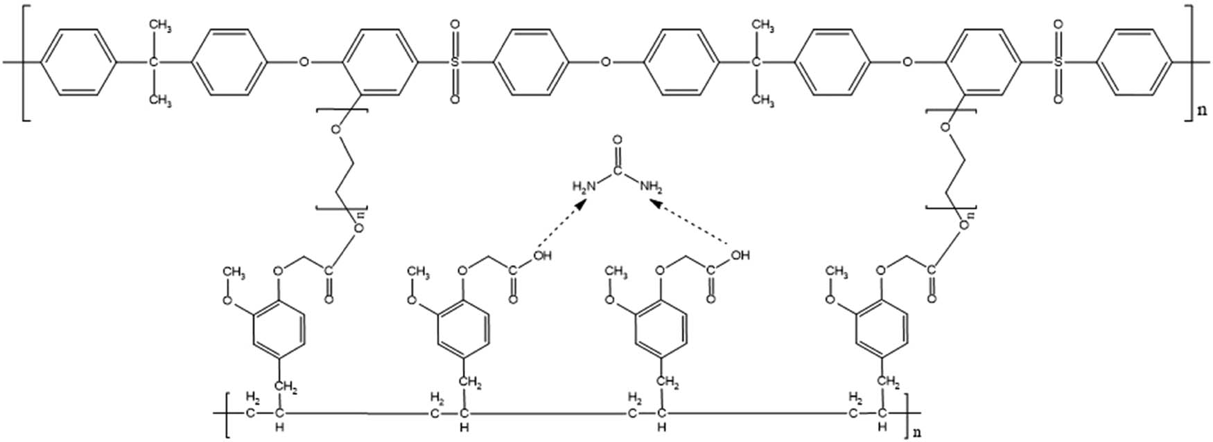 Figure 13
Estimated formation of a urea template on the MIM membrane.