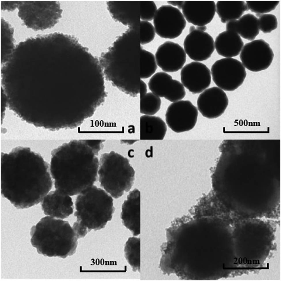 Figure 2
TEM characterization: (a) Fe3O4; (b) Fe3O4@SiO2; (c) Fe3O4–ZnO; (d) Fe3O4@SiO2–ZnO. (Zinc chloride was used as zinc source).