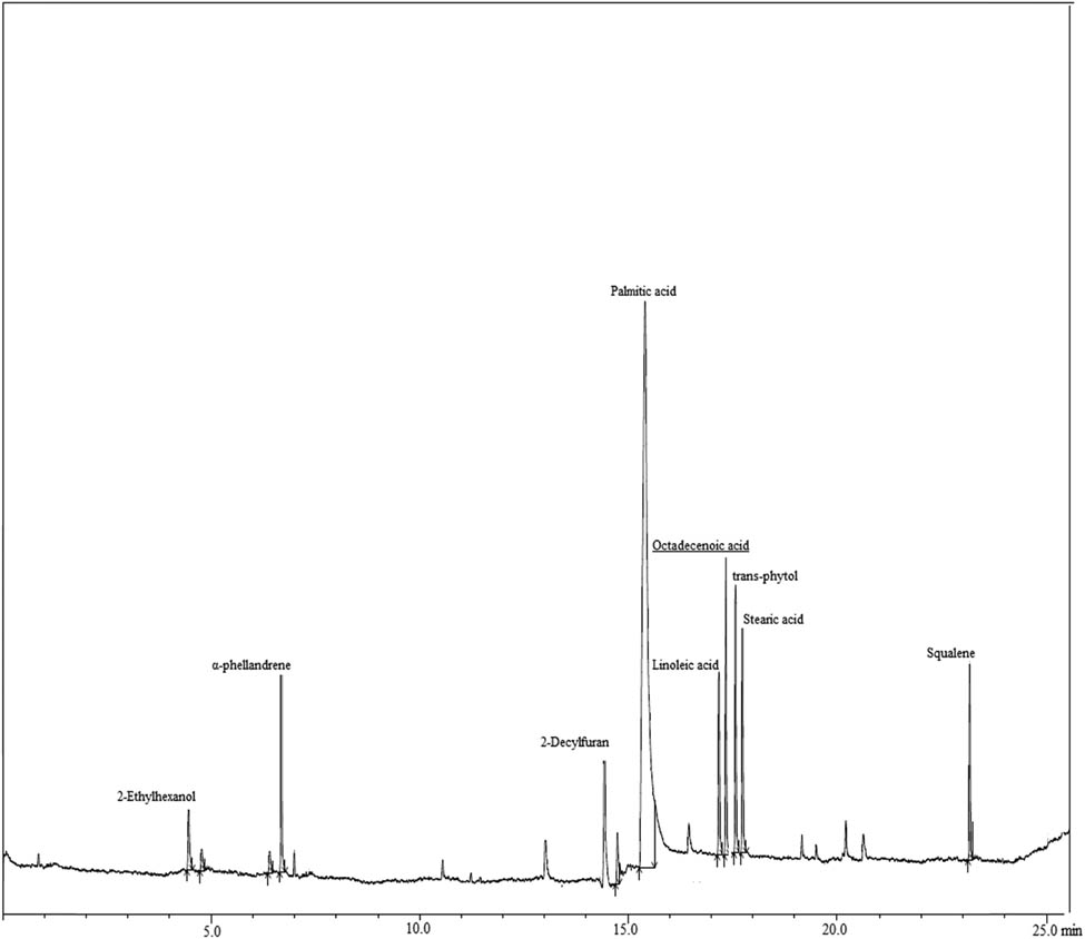 Figure 2 
                  GC-MS profile for PE extract of Curcuma longa leaves.
               