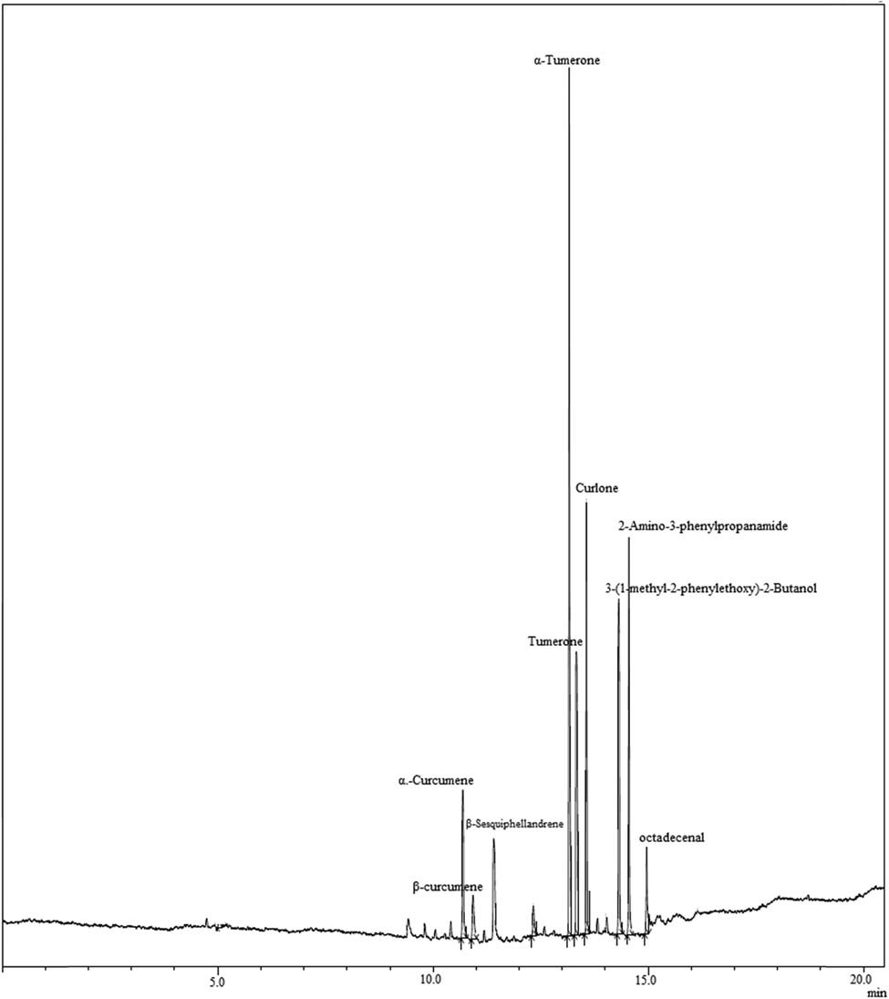Figure 3 
                  GC-MS profile for PE extract of Curcuma longa rhizome.
               