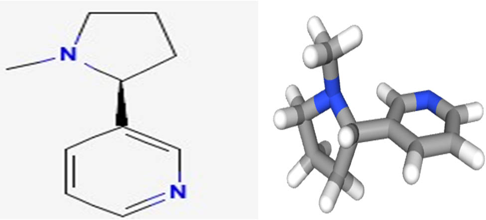 Figure 1
Shows the 2D and 3D structures of Nicotine.