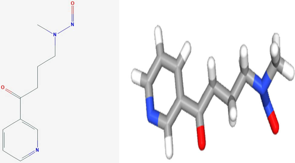 Figure 2
Shows the 2D and 3D structures of (NNK).