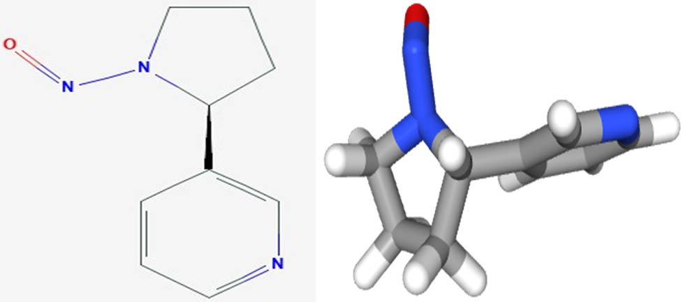Figure 3
Shows the 2D and 3D structures of NNN.