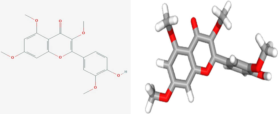 Figure 4
Shows the 2D and 3D structures of tetramethoxy hydroxyflavone.