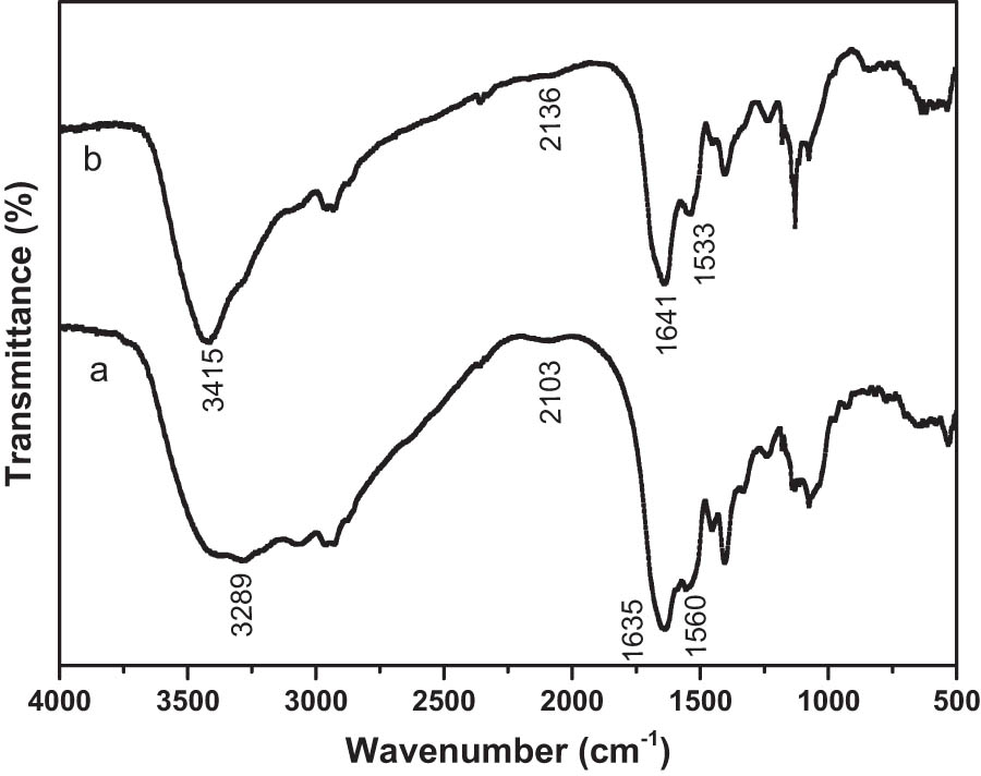 Figure 3
IR spectra of B. subtilis cells before (a) and after (b) adsorption for 100 µg/L Hg2+ solution.