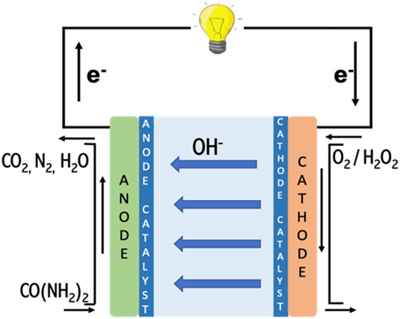 Figure 1
Schematic diagram of DUFC.