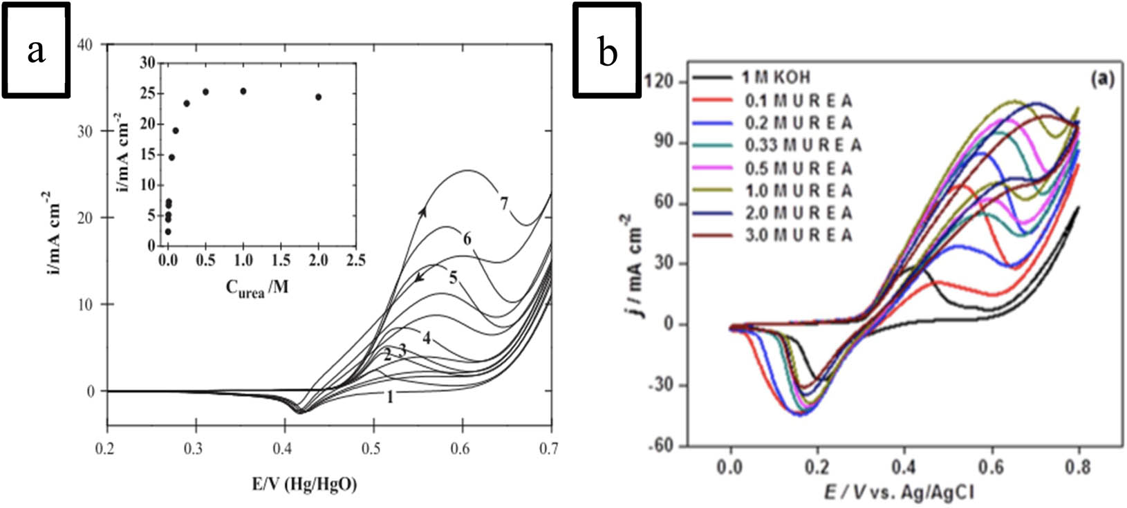 Figure 5 
                  The dependence of urea electro-oxidation on urea concentrations at (a) nickel nanoparticle and (b) NiCo/MWCNT electrode. Scan rates at (a) was 10 mV s−1, while at (b) was 20 mV s−1, republished with permission [1,47].
               