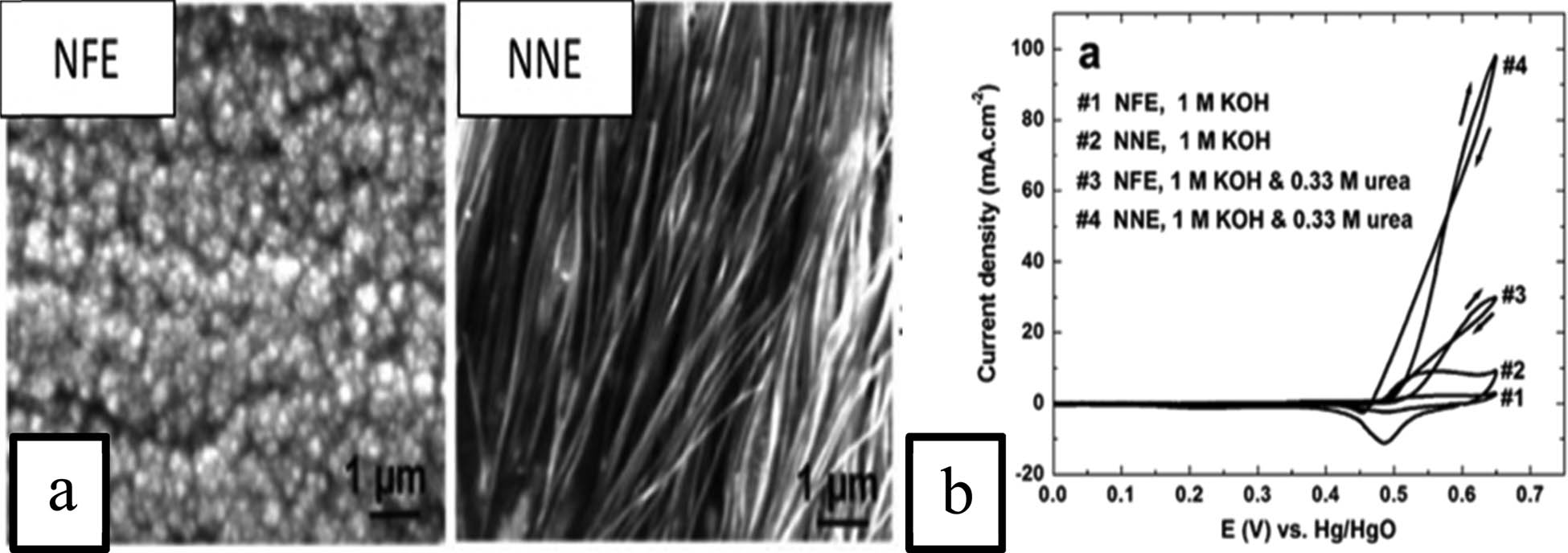 Figure 8 
                  SEM characterization of nickel nanowires in the form of NFE and NNE (a) and the CVs of nickel nanowires with different form in 1 M KOH in the presence and absence of 0.33 M urea (b), republished with permission [89].
               