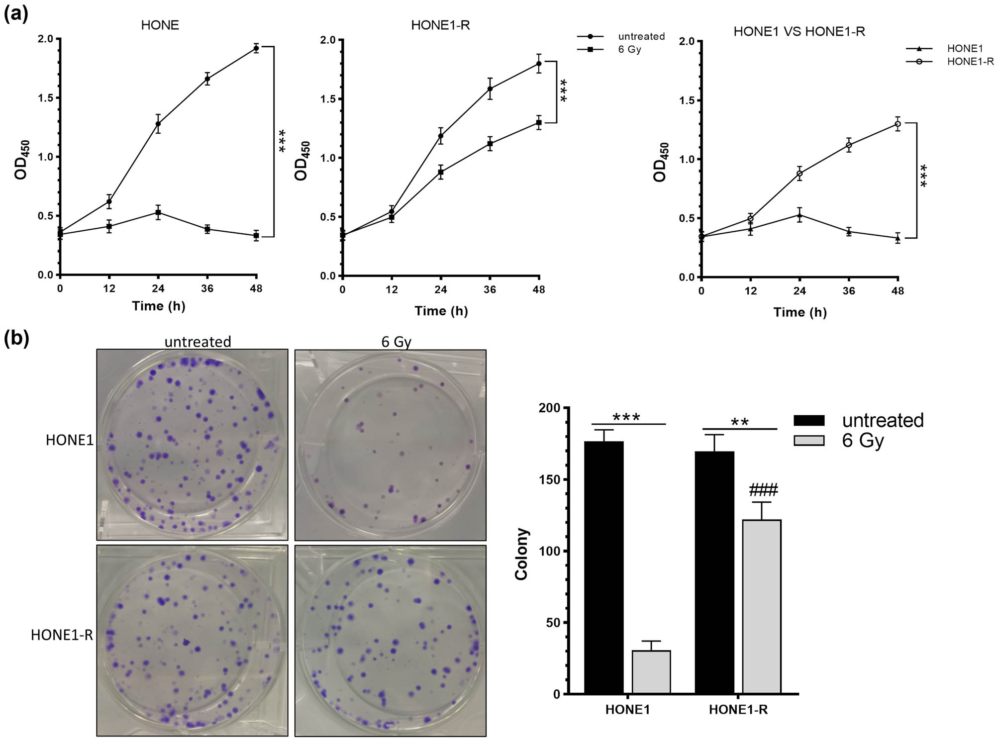 Figure 1
Verification of the ability of radiotherapy resistance of HONE1-R cell lines: (a) cell viability of HONE1 and HONE1-R cell lines treated with 6 Gy and (b) cell proliferation of HONE1 and HONE1-R cell lines treated with 6 Gy.