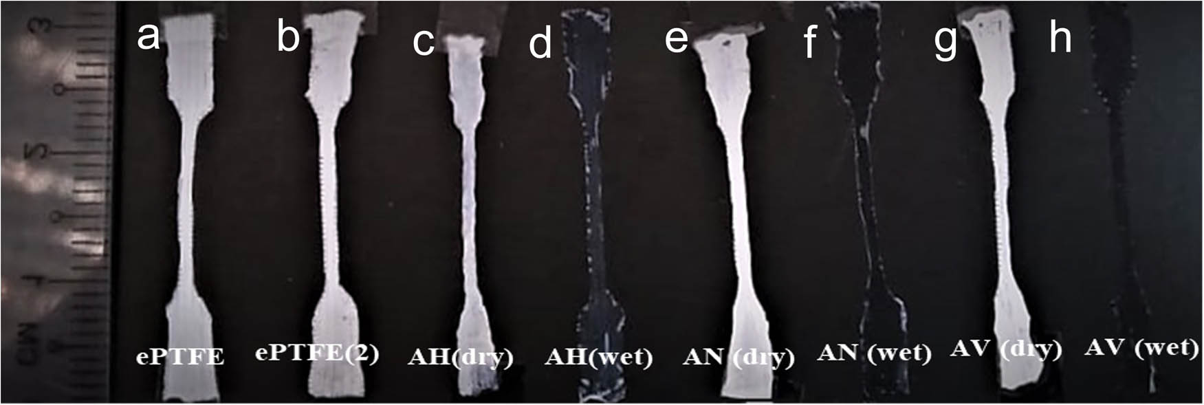 Figure 1
Physical appearance and lengths of samples: (a) unmodified ePTFE, (b) ePTFE(2), (c) sample AH (dry), (d) sample AH (wet), (e) sample AN (dry), (f) sample AN (wet), (g) sample AV (dry), and (h) sample AV (wet).