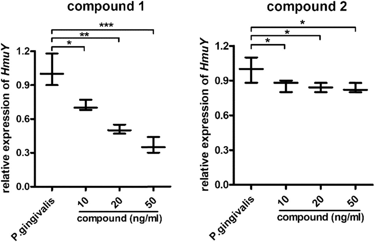 Figure 5
Compound strongly inhibited the relative expression of HmuY gene in P. gingivalis. The P. gingivalis was cultivated in TSB medium, and the treatment was carried out after the adding compounds at 10, 20, and 50 ng mL concentration. The relative expression of HmuY gene in the P. gingivalis was tested using the RT-PCR detection.