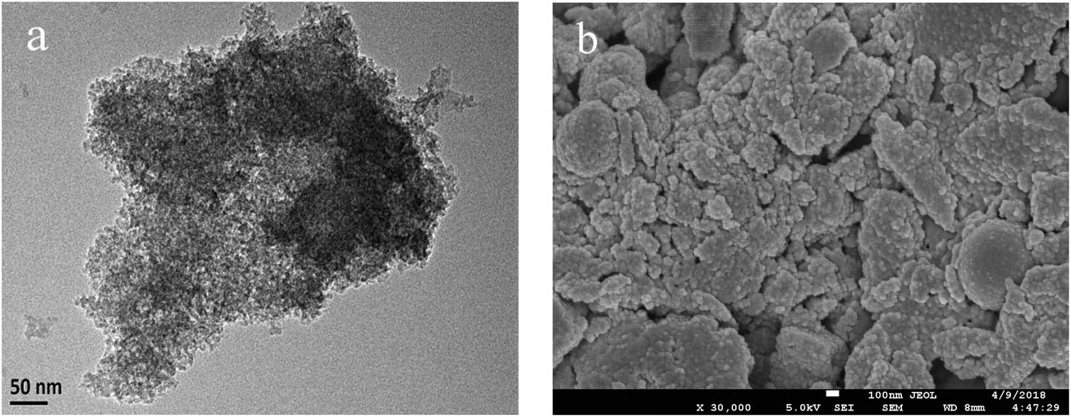 Figure 1
(a) TEM of TUD-1 and (b) SEM of TUD-1.