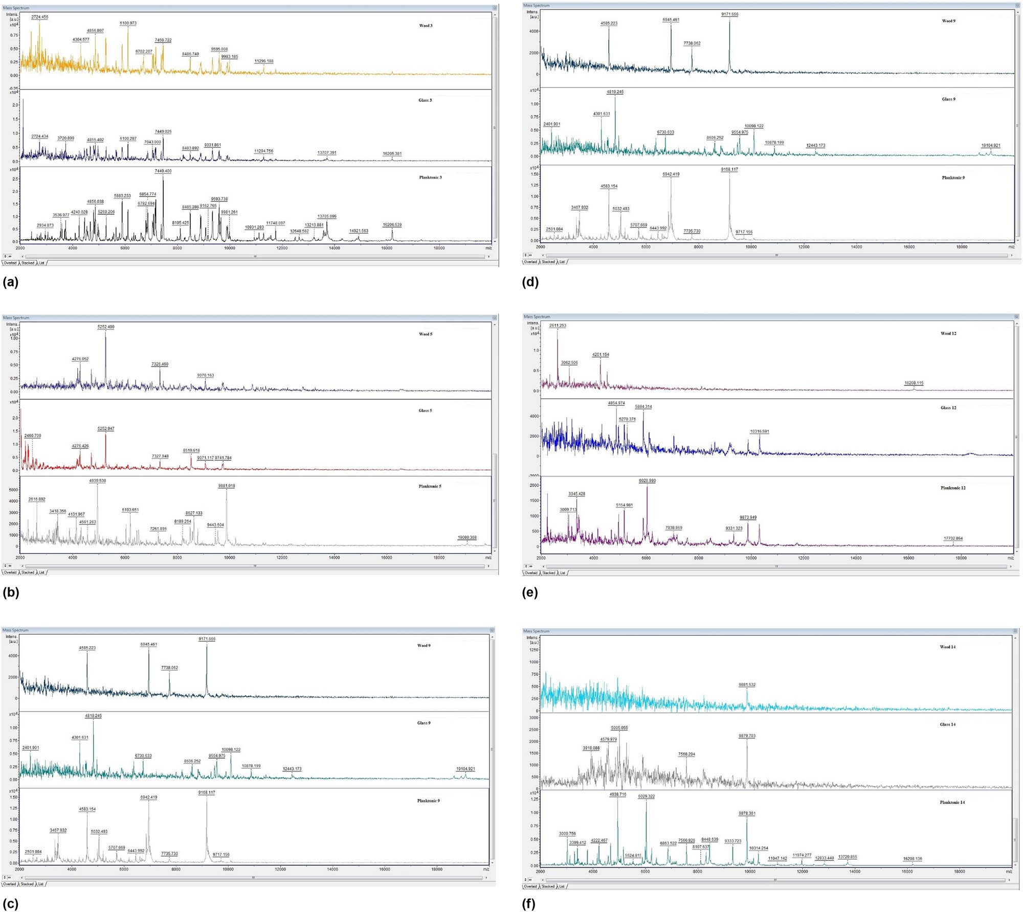 Figure 4
B. subtilis MALDI-TOF mass spectra after CCEO treatment, days of experiment: (a) 3th, (b) 5th, (c) 7th, (d) 9th, (e) 12th, (f) 14th.