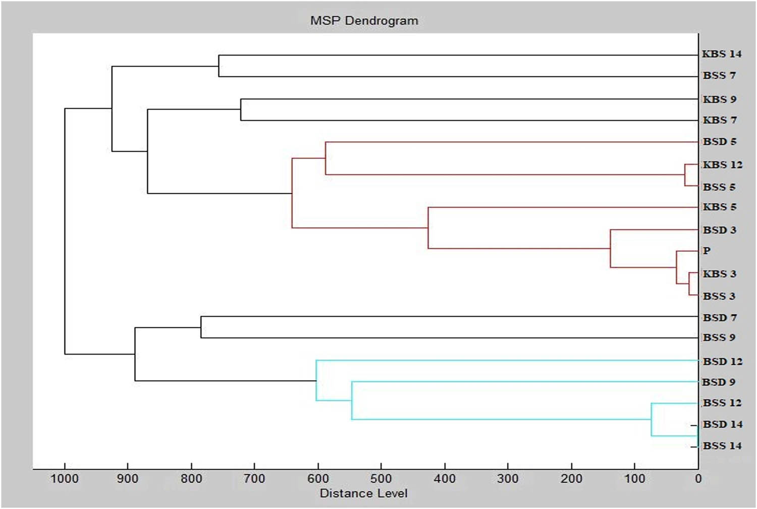 Figure 5
Dendrogram of B. subtilis generated using the MSP for the planktonic cells and all experimental groups. Sample name abbreviations: K, control; BS, Bacillus subtilis; S, glass; D, wood; P, planktonic cells.