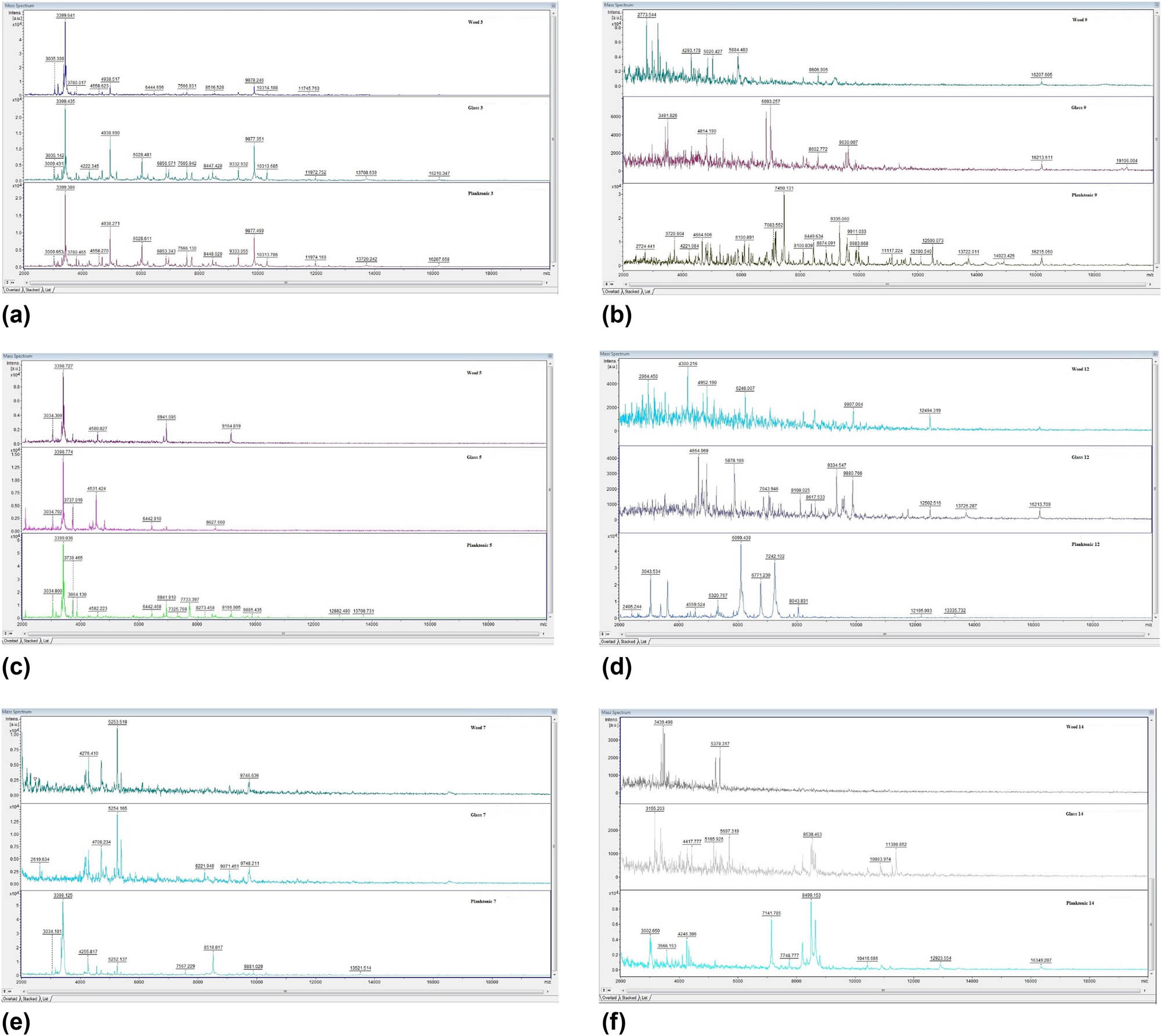 Figure 6
MALDI-TOF mass spectra of S. maltophilia after the CCEO treatment, days: (a) 3th, (b) 5th, (c) 7th, (d) 9th, (e) 12th, (f) 14th.