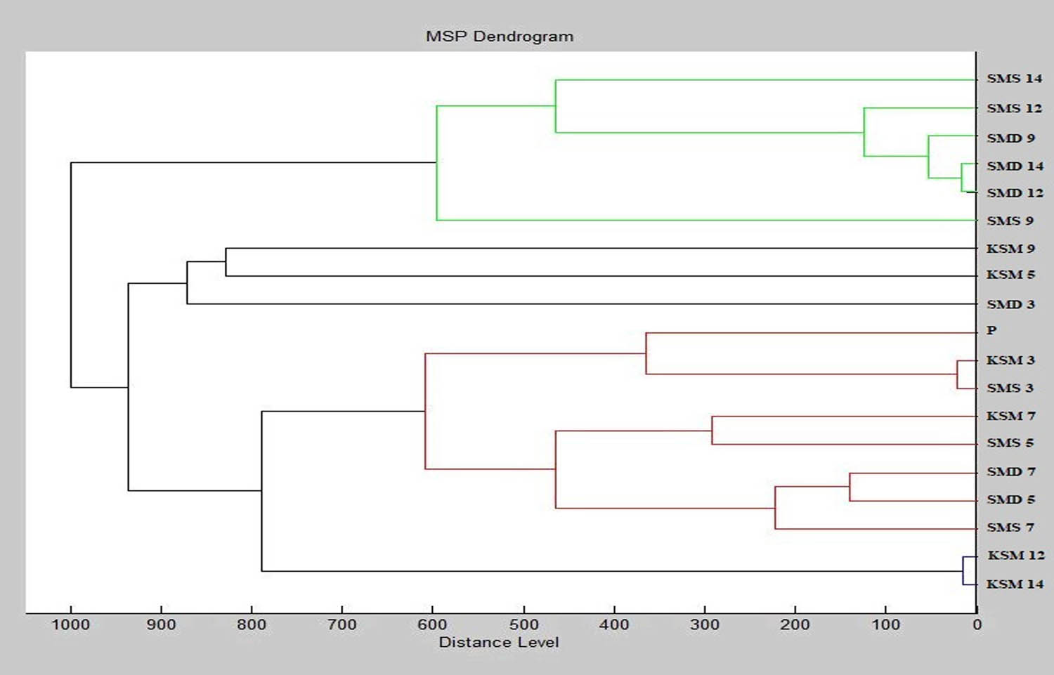 Figure 7
Dendrogram of S. maltophilia generated using MSP for the planktonic cells and all experimental groups. Abbreviations: K, control; SM, Stenotrophomonas maltophilia; S, glass; D, wood; P, planktonic cells.