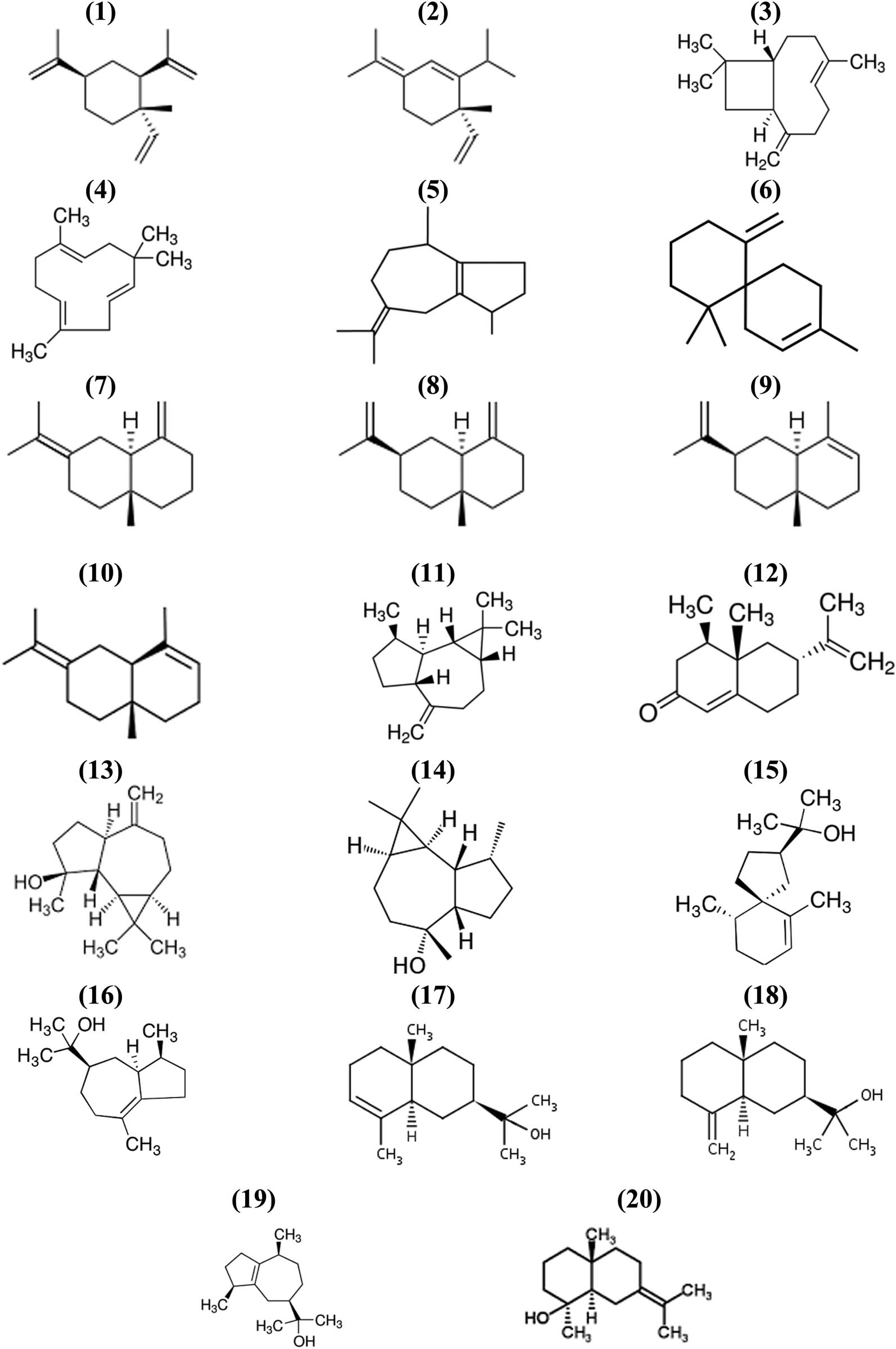 Figure 3
Chemical structures of identified terpenoid compounds: (1) β-elemene, (2) α-elemene, (3) trans-(−)caryophyllene, (4) α-humulene, (5) α-guaiene, (6) β-chamigrene, (7) γ-selinene, (8) β-selinene, (9) α-selinene, (10) 3,7(11)-selinadiene, (11) (+) aromadendrene, (12) (+) nootkatone, (13) spathulenol, (14) ledol, (15) hinesol, (16) bulnesol, (17) α-eudesmol, (18) β-eudesmol, (19) guaiol, (20) juniper camphor.
