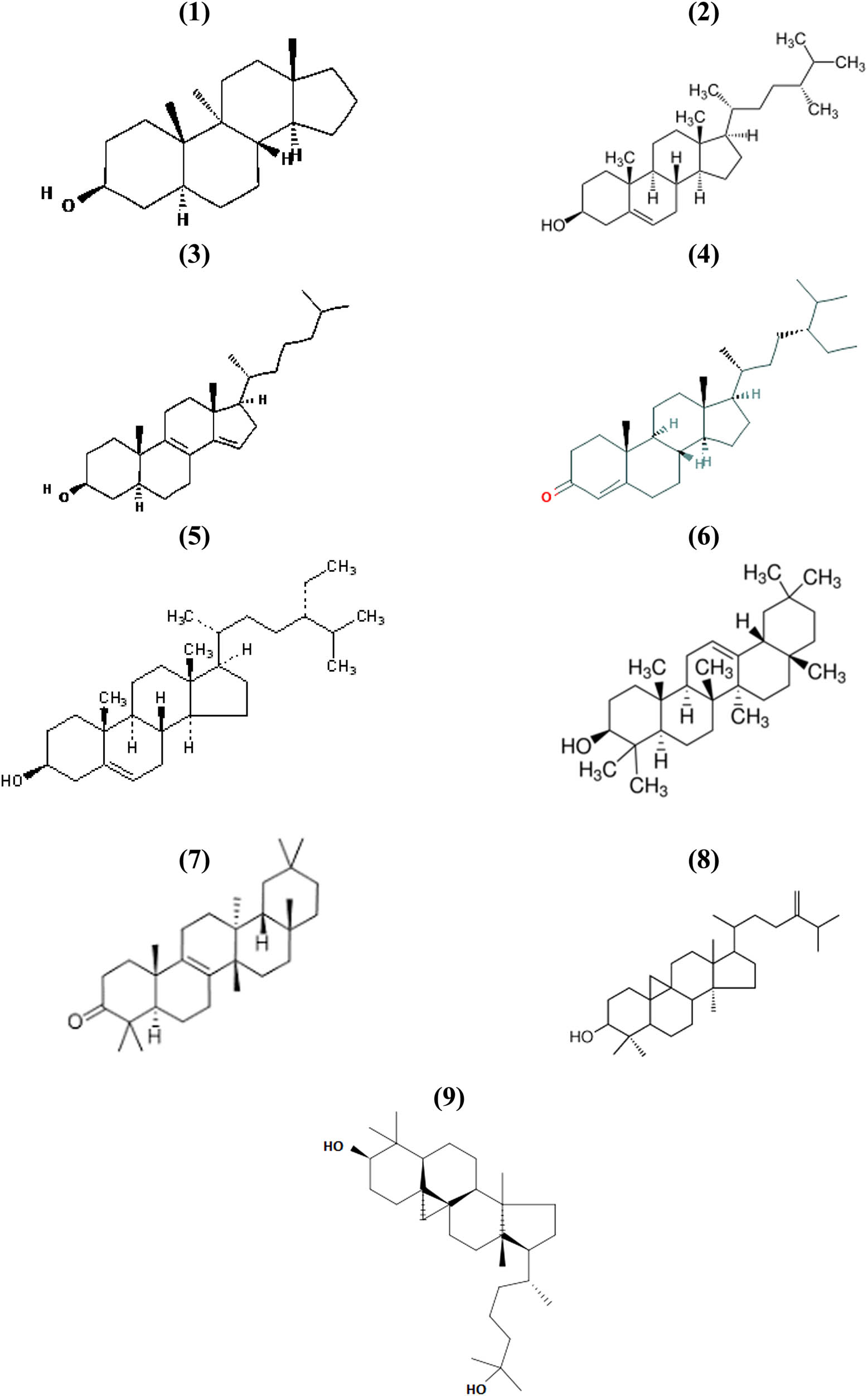 Figure 4
Chemical structures of identified steroid compounds: (1) 9-methyl-(3β,5α)-androstane-3-ol, (2) 3β-campesterol, (3) 3β,5α-4,4-dimethylcholesta-8,14-dien-3-ol acetate, (4) stigmast-4-en-3-one, (5) γ-sitoesterol, (6) β-amyrin (olean-12-en-3β-ol), (7) D:C-friedoolean-3-one (multifluorenone), (8) 24-methylencycloartanol, (9) 3β-cycloartane-3,25-diol.