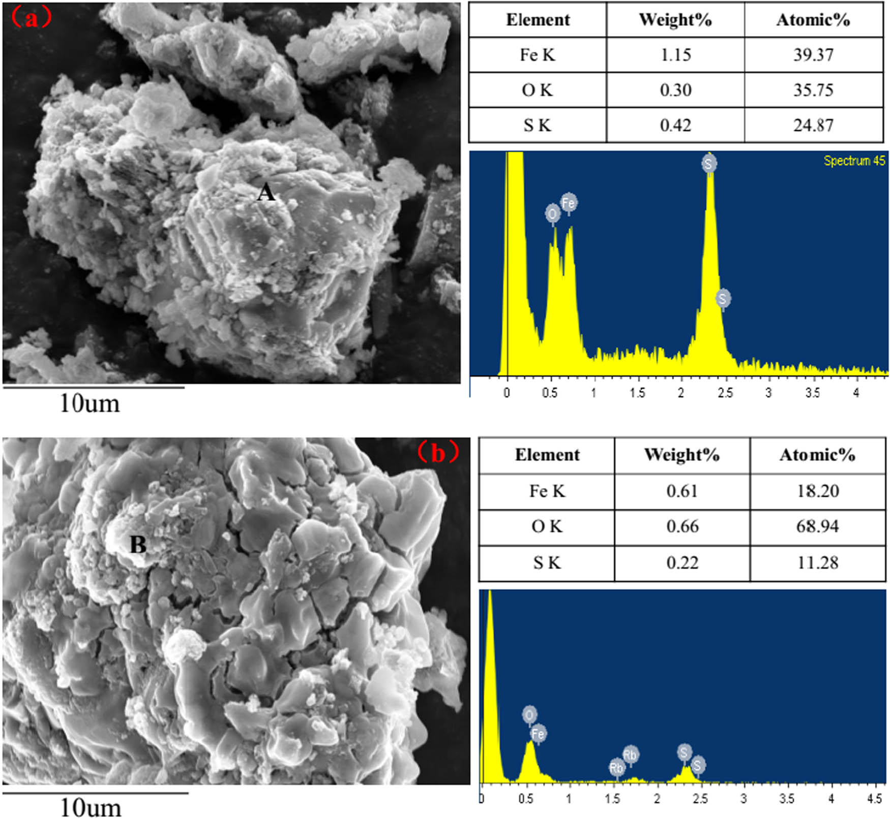 Figure 9
The SEM images and energy spectrum of A/B area in copper ore tailings and roasted slag. (a) Copper ore tailings; (b) roasted slag at 1,000°C for 30 min, airflow 5 L min−1.