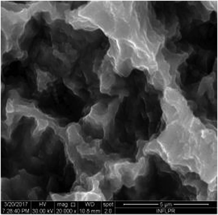 Figure 1
SEM image of sample S1 at a magnification of 20k×.