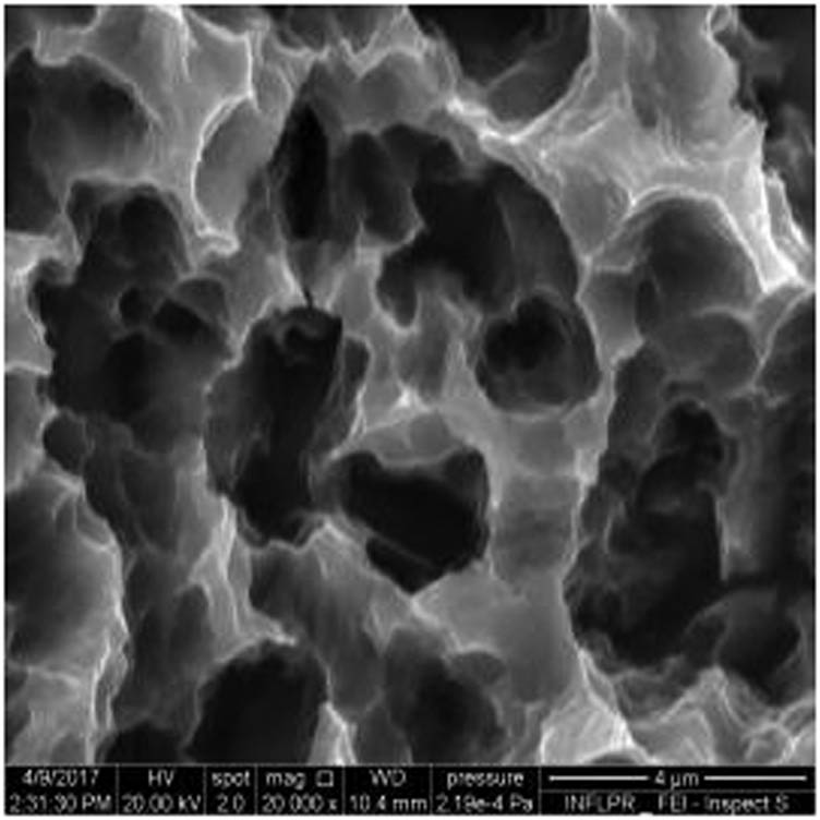 Figure 2
SEM image of sample S2 at a magnification of 20k×.