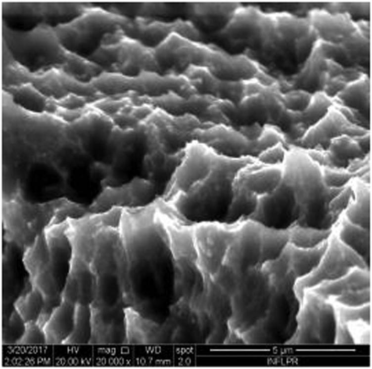 Figure 3
SEM image of sample S3 at a magnification of 20k×.